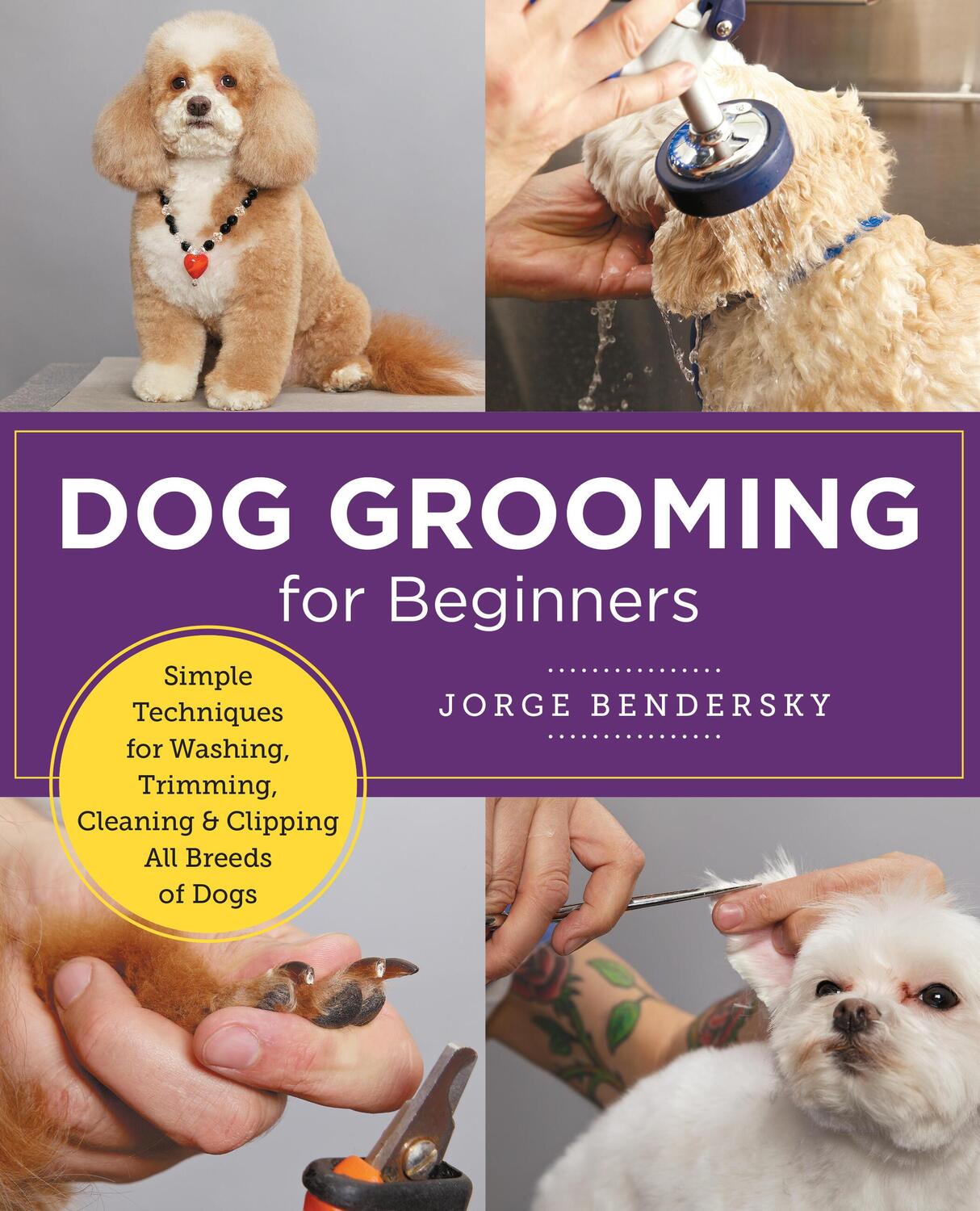 Cover: 9780760383964 | Dog Grooming for Beginners | Jorge Bendersky | Taschenbuch | Englisch