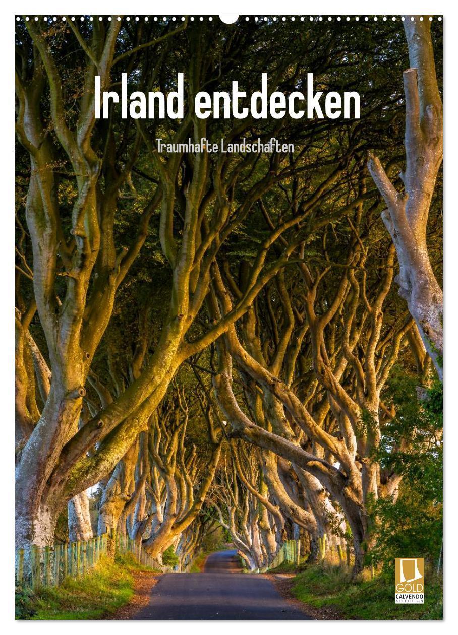 Cover: 9783383426612 | Irland entdecken (Wandkalender 2024 DIN A2 hoch), CALVENDO...