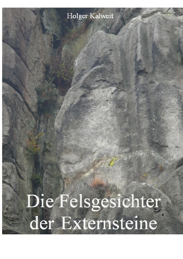 Cover: 9783754136454 | Die Felsgesichter der Externsteine | Holger Kalweit | Taschenbuch