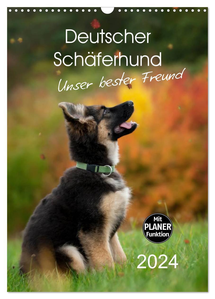 Cover: 9783383256981 | Deutscher Schäferhund - unser bester Freund (Wandkalender 2024 DIN...