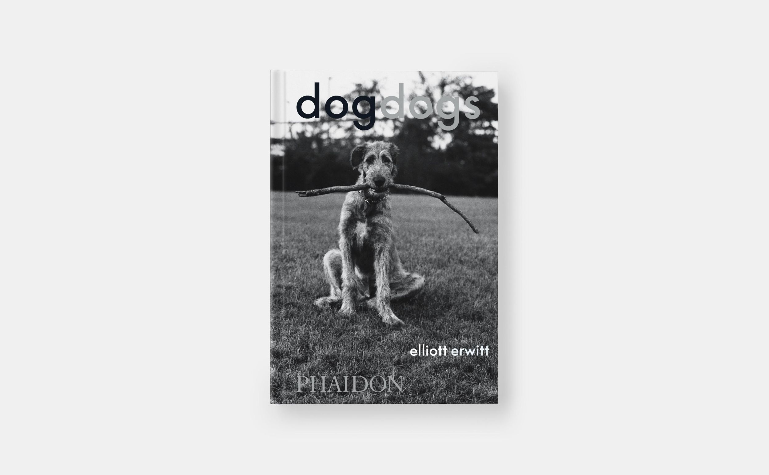 Bild: 9781838669256 | DogDogs | Elliott Erwitt | Buch | Phaidon Press | 512 S. | Englisch