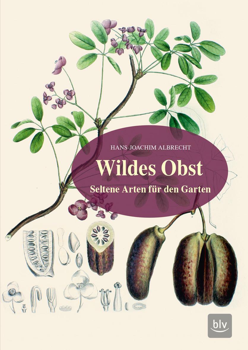 Cover: 9783835418554 | Wildes Obst | Seltene Arten für den Garten | Hans-Joachim Albrecht