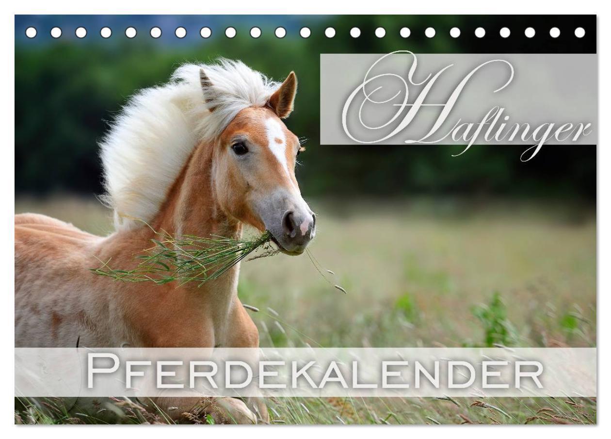 Cover: 9783435723737 | Haflinger / Geburtstagskalender (Tischkalender 2025 DIN A5 quer),...