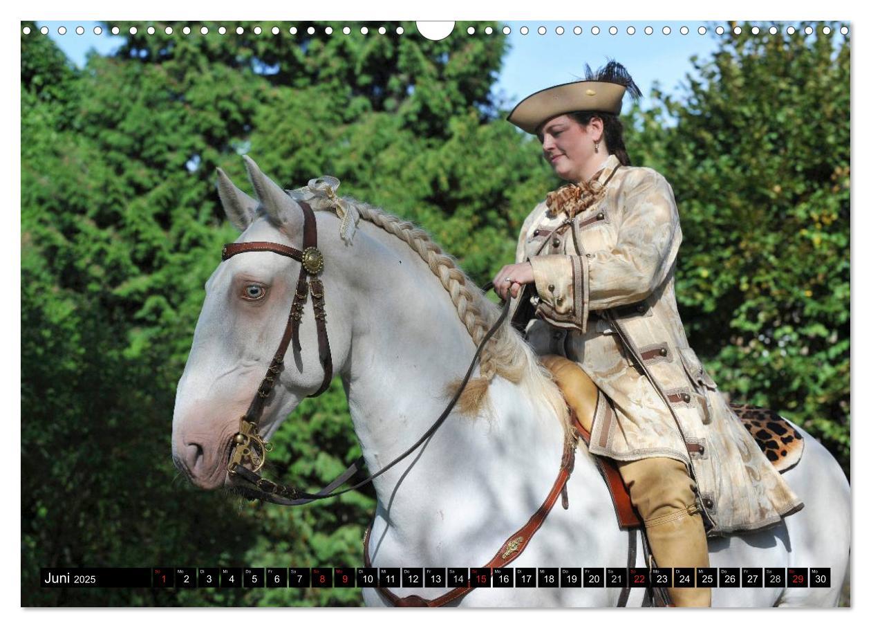 Bild: 9783435555888 | Traumpferde - Fürstliche Hofreitschule Bückeburg (Wandkalender 2025...