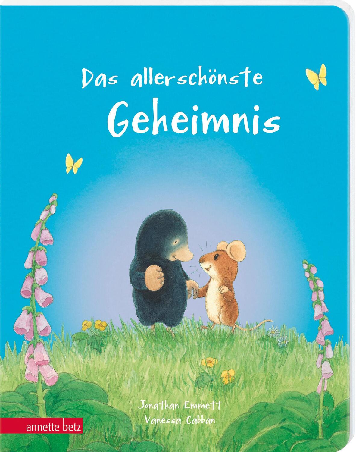 Cover: 9783219120288 | Das allerschönste Geheimnis - Ein liebevolles Pappbilderbuch über...