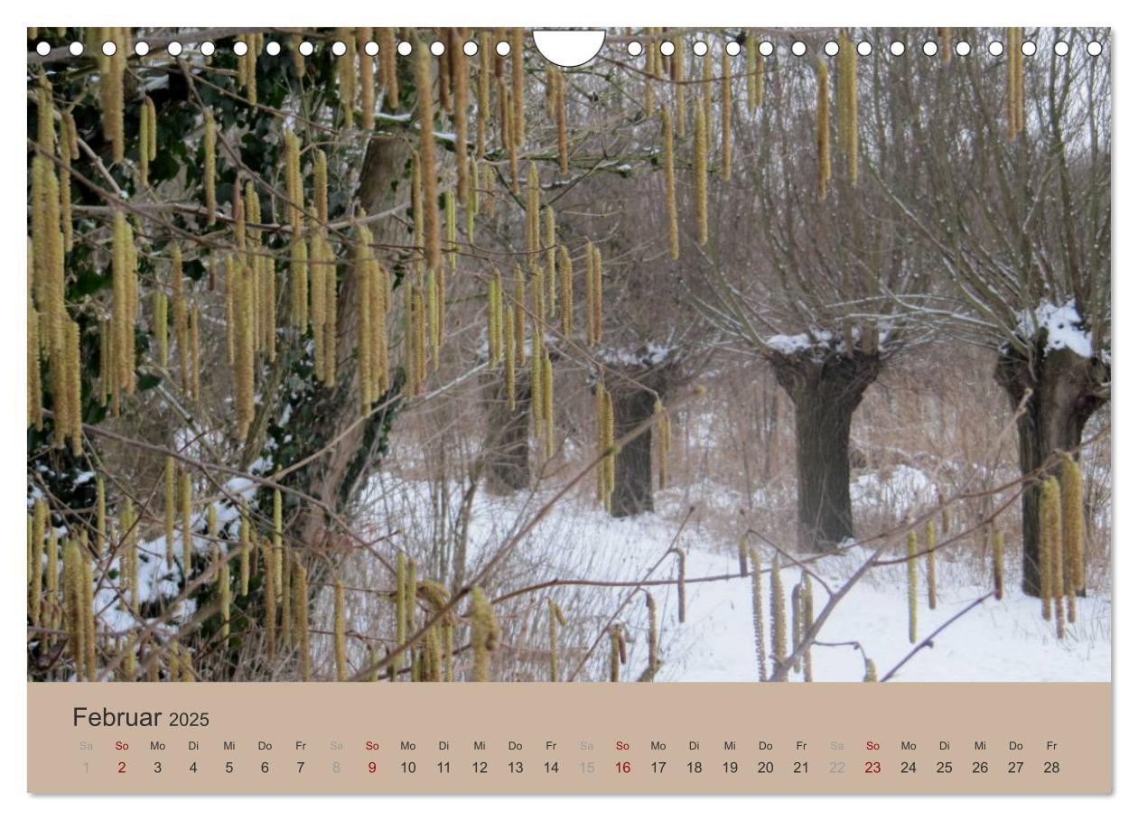 Bild: 9783435756179 | Krefelder Landschaften (Wandkalender 2025 DIN A4 quer), CALVENDO...