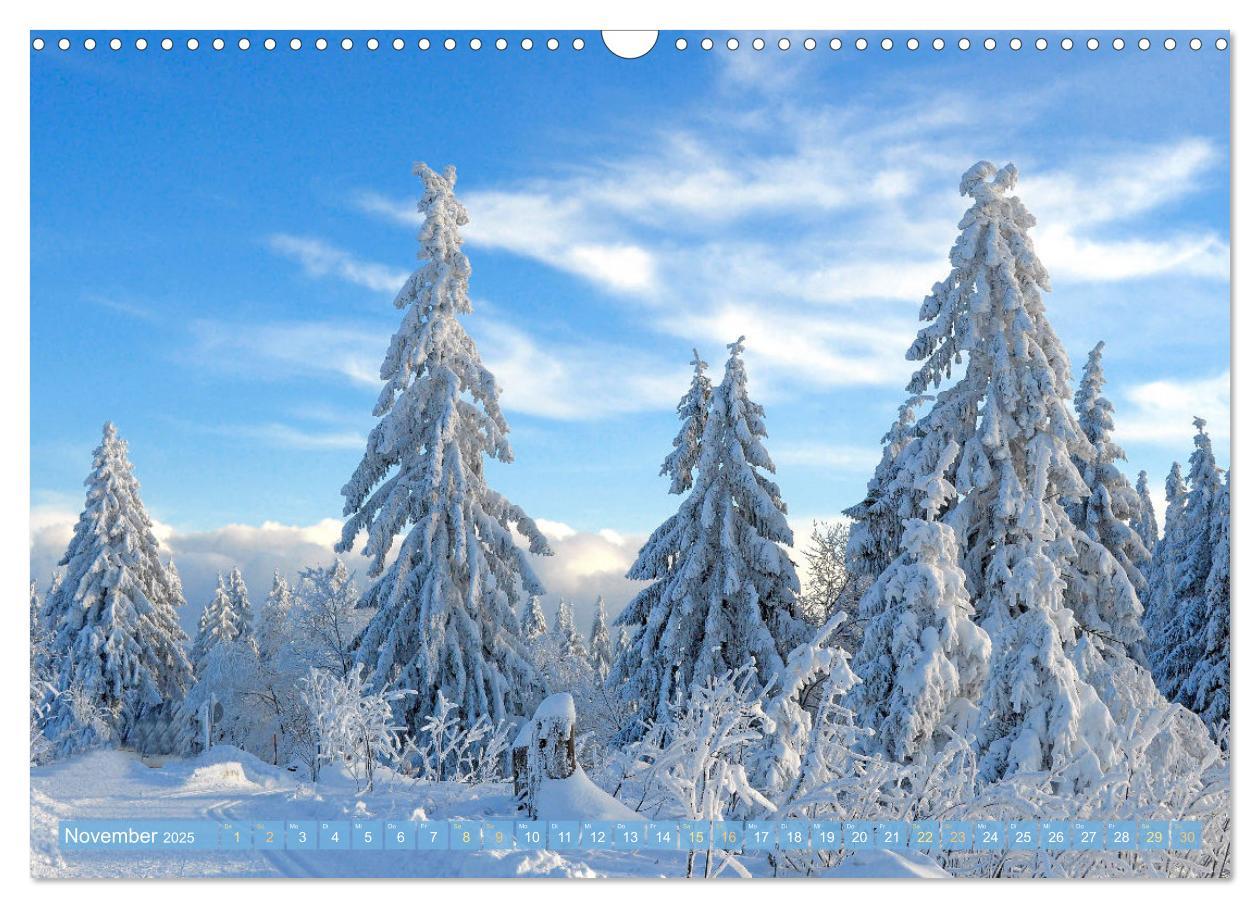 Bild: 9783435468416 | Schwarzwald - Märchenwald (Wandkalender 2025 DIN A3 quer), CALVENDO...