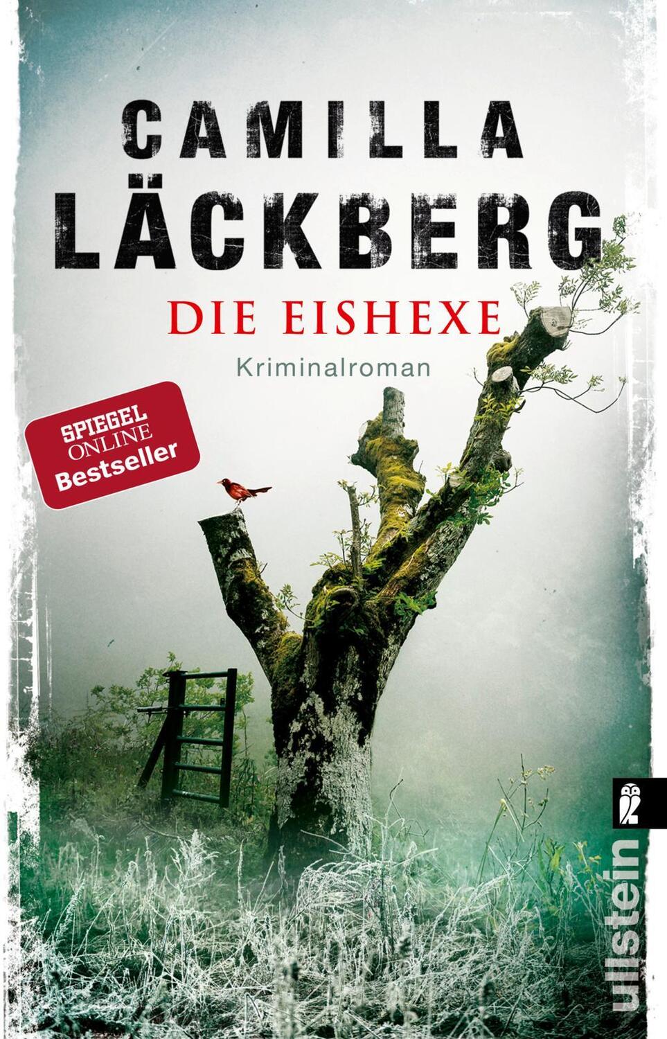 Cover: 9783548290669 | Die Eishexe | Kriminalroman | Camilla Läckberg | Taschenbuch | 752 S.