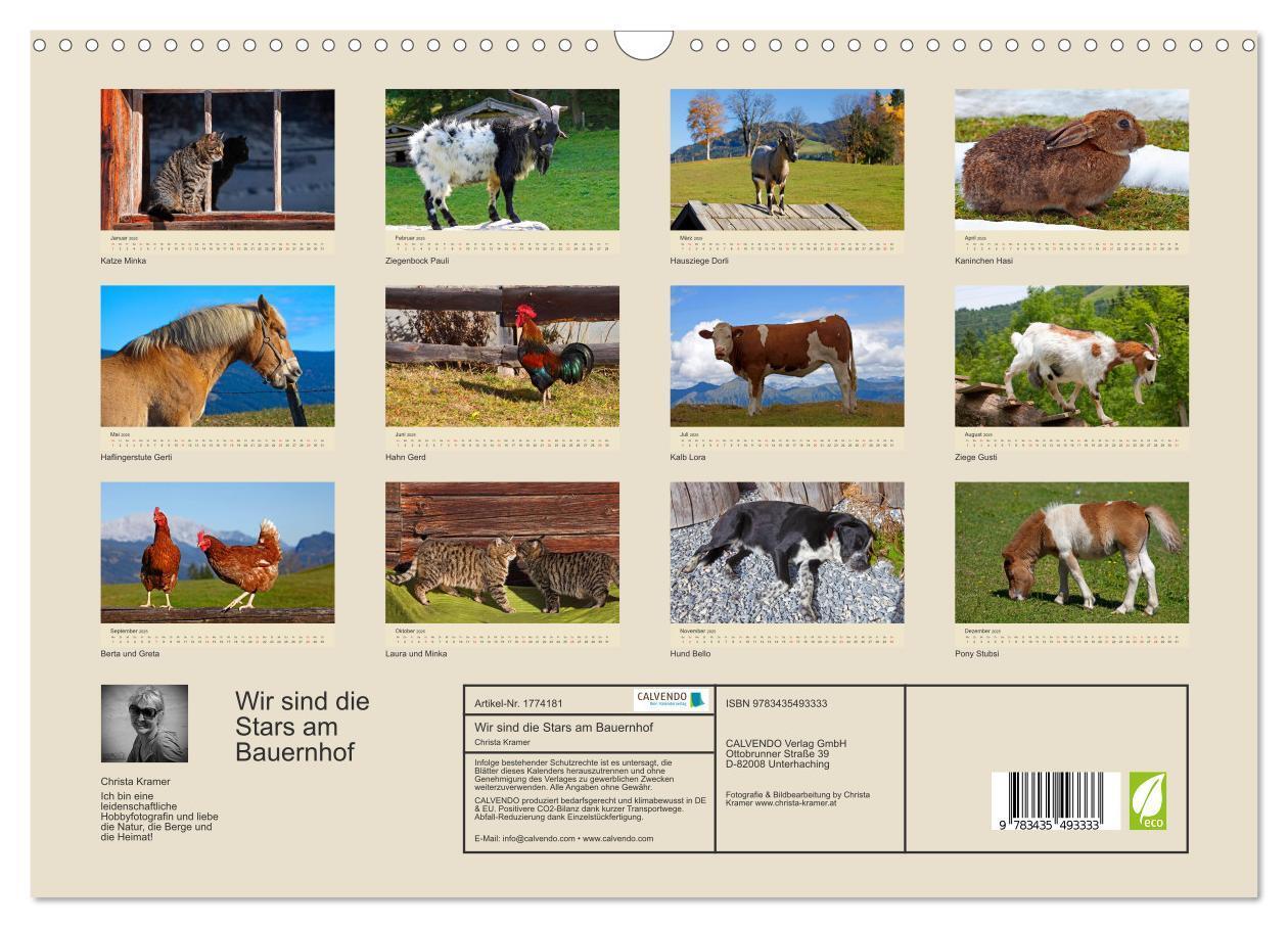 Bild: 9783435493333 | Wir sind die Stars am Bauernhof (Wandkalender 2025 DIN A3 quer),...