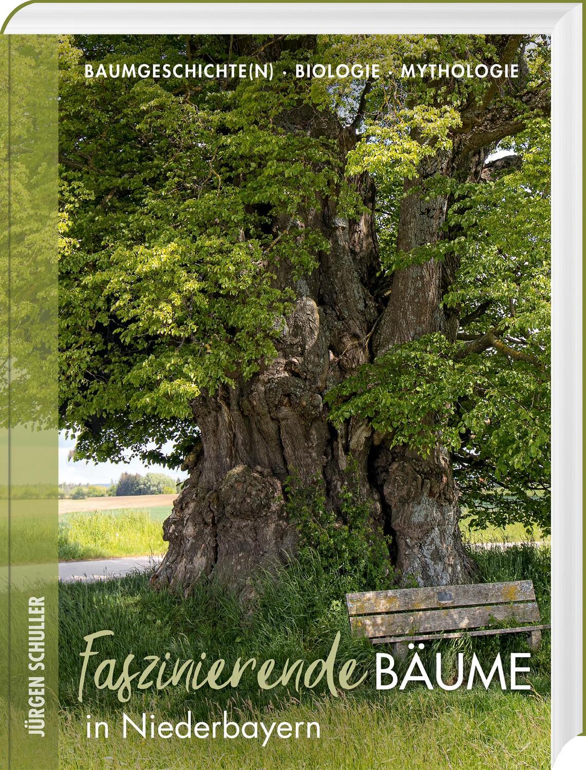 Cover: 9783955877927 | Faszinierende Bäume in Niederbayern | Jürgen Schuller | Buch | 168 S.