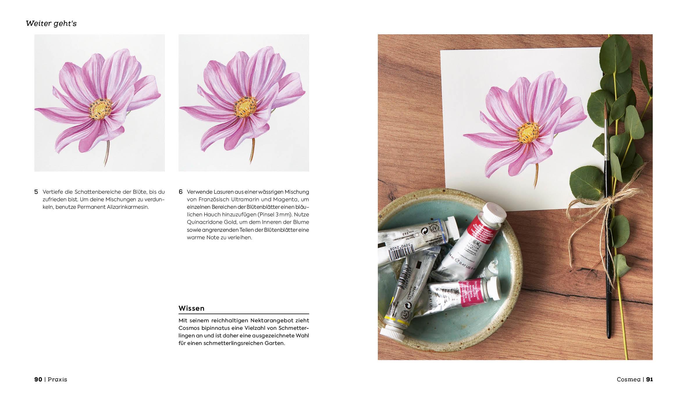 Bild: 9783745922325 | Botanicals - Naturmotive in Aquarell | Sophie Crossart | Buch | 144 S.