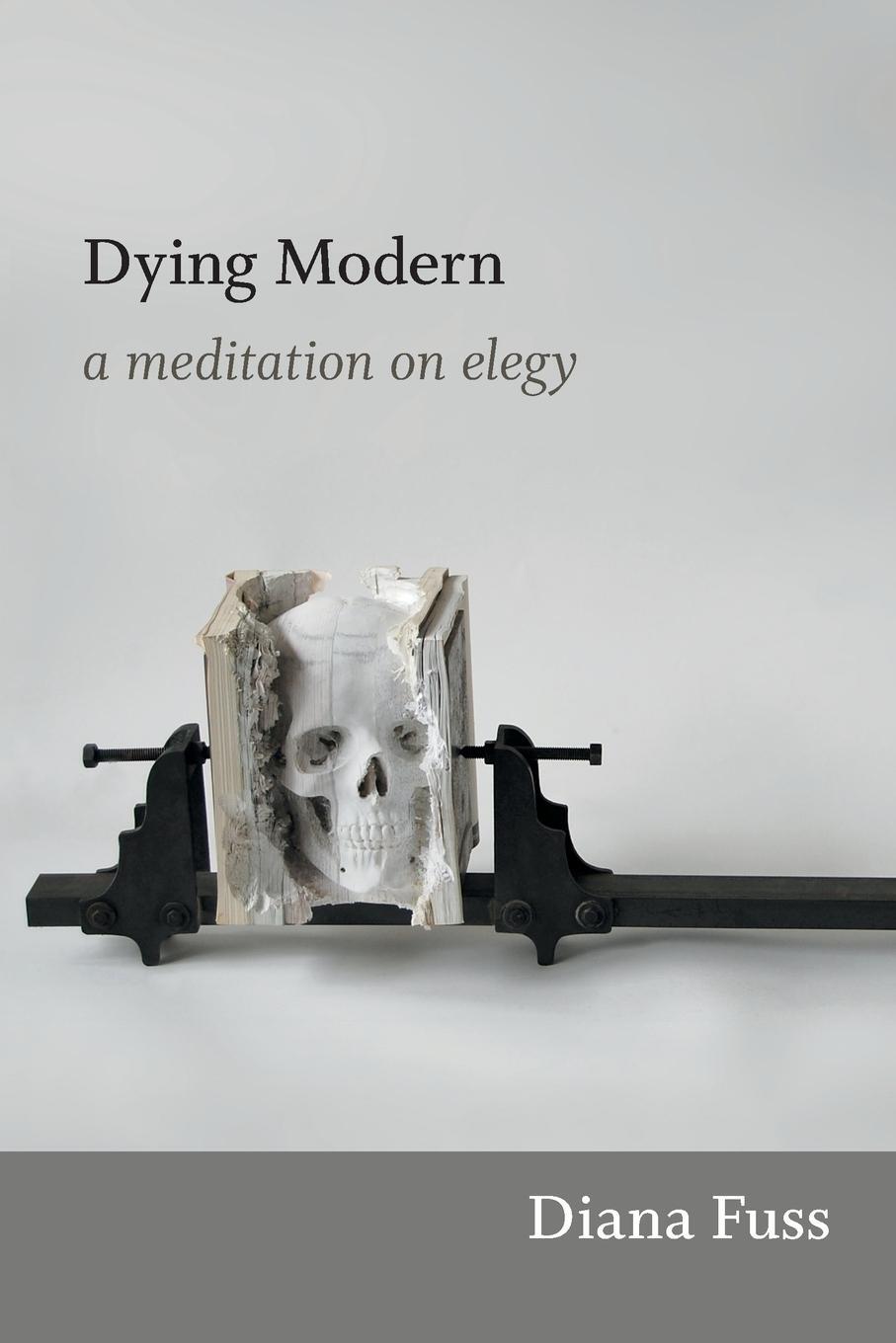 Cover: 9780822353898 | Dying Modern | A Meditation on Elegy | Diana Fuss | Taschenbuch | 2013