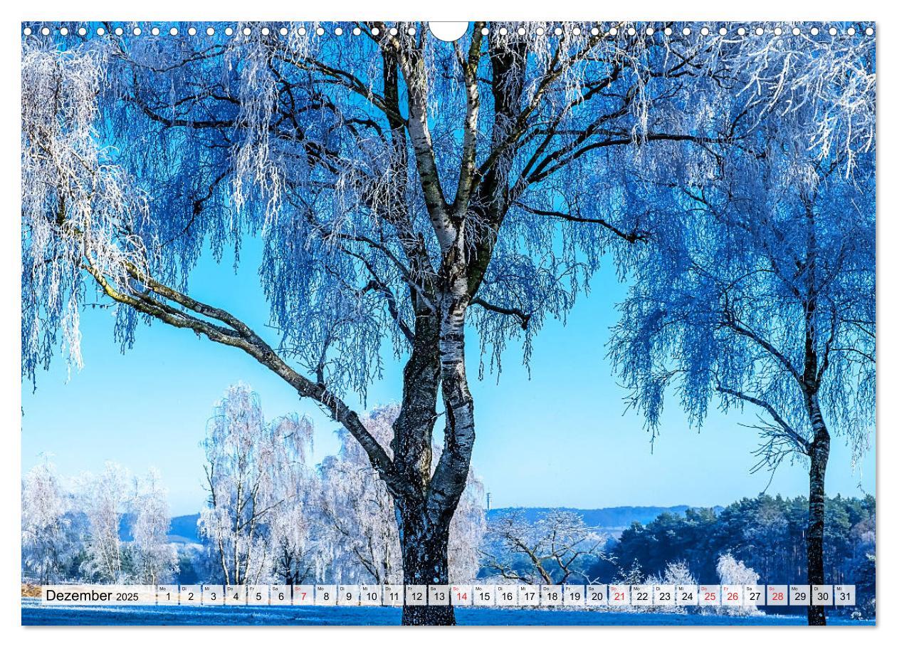 Bild: 9783435304257 | Norddeutsche Landschaften (Wandkalender 2025 DIN A3 quer), CALVENDO...