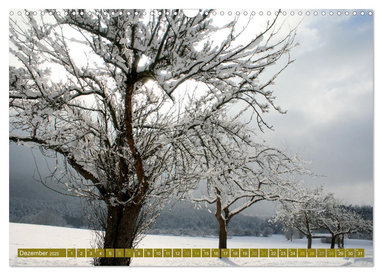 Bild: 9783435062485 | Apfelbaum und Streuobstwiesen (Wandkalender 2025 DIN A3 quer),...