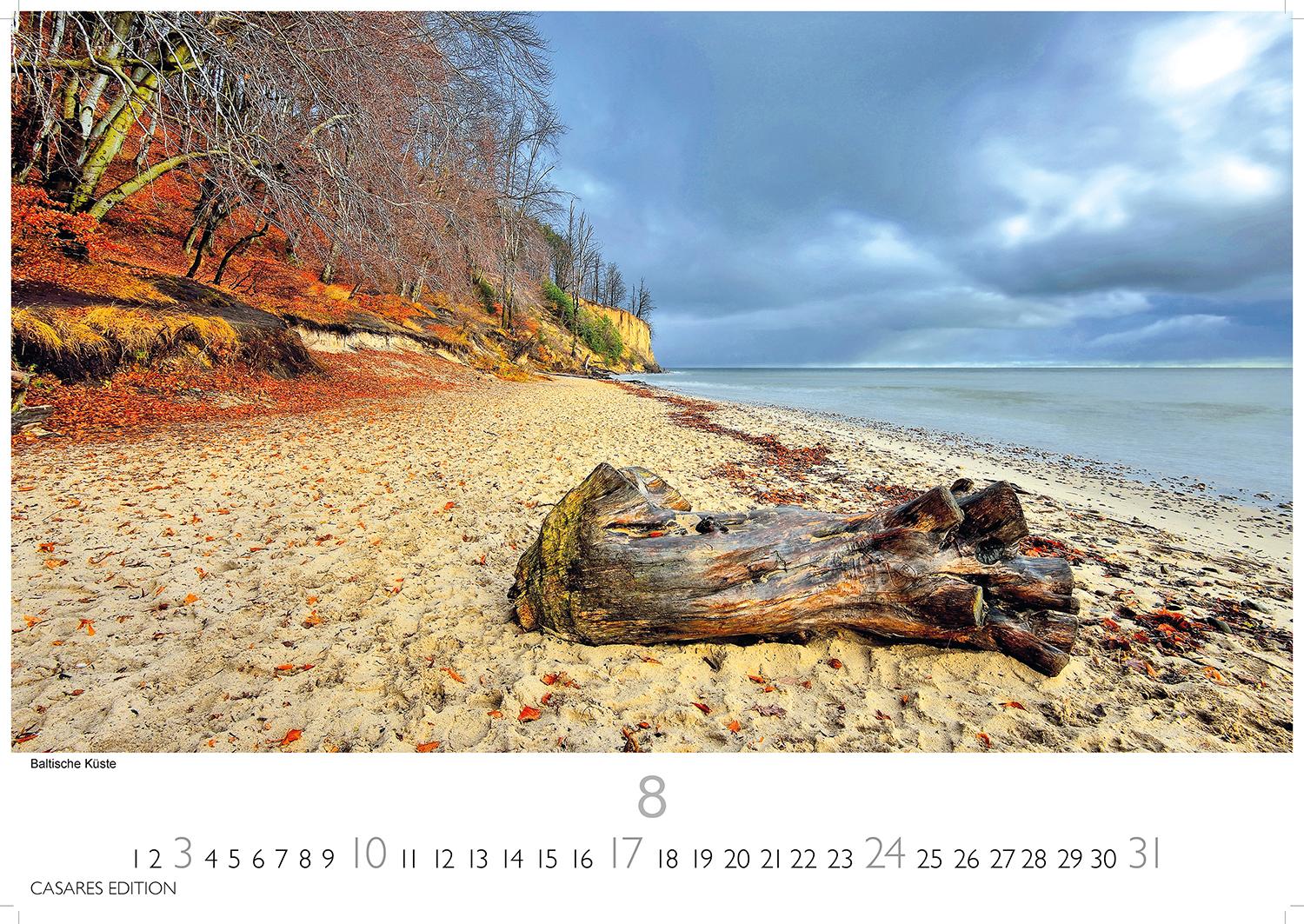 Bild: 9781835242896 | Ostseeküste 2025 S 24x35cm | Kalender | 14 S. | Deutsch | 2025