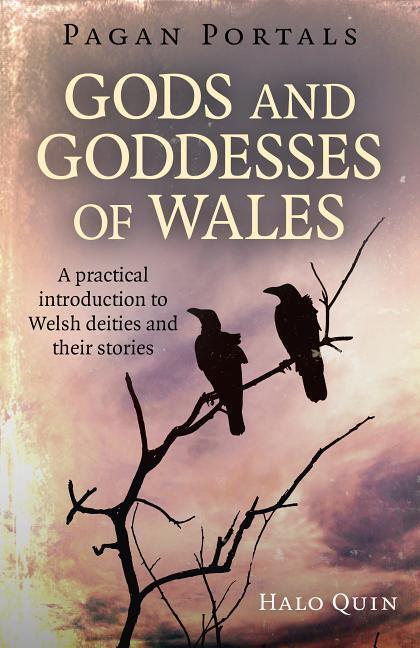 Cover: 9781785356216 | Pagan Portals - Gods and Goddesses of Wales | Halo Quin | Taschenbuch