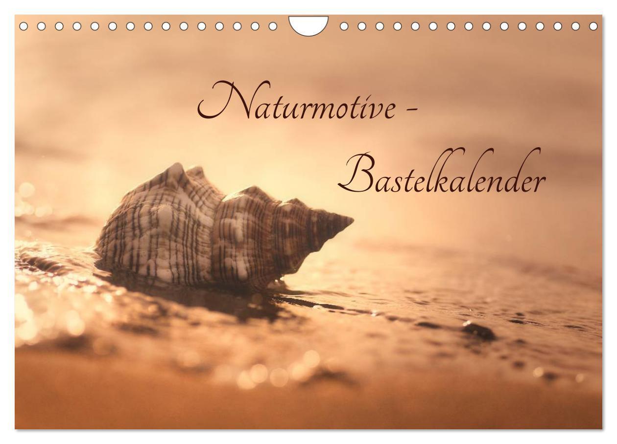 Cover: 9783383264740 | Naturmotive - Bastelkalender (Wandkalender 2024 DIN A4 quer),...