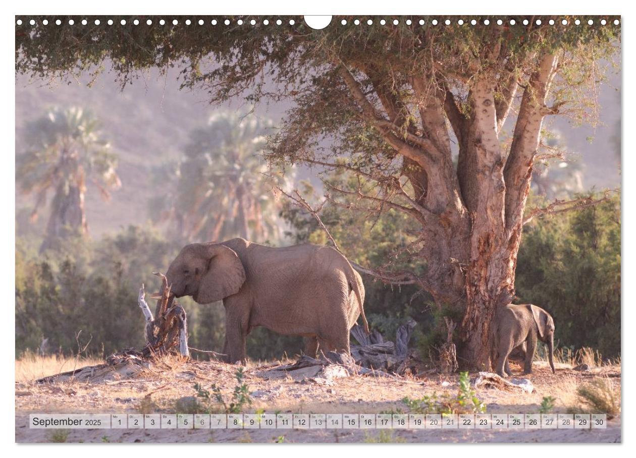 Bild: 9783435786572 | NAMIBIA Christian Heeb (Wandkalender 2025 DIN A3 quer), CALVENDO...