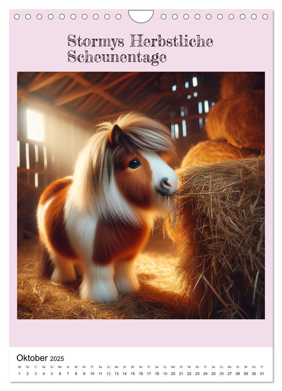 Bild: 9783435842780 | Tinker Ponys - Magische Momente, Gypsy Vanner für Mädchen...