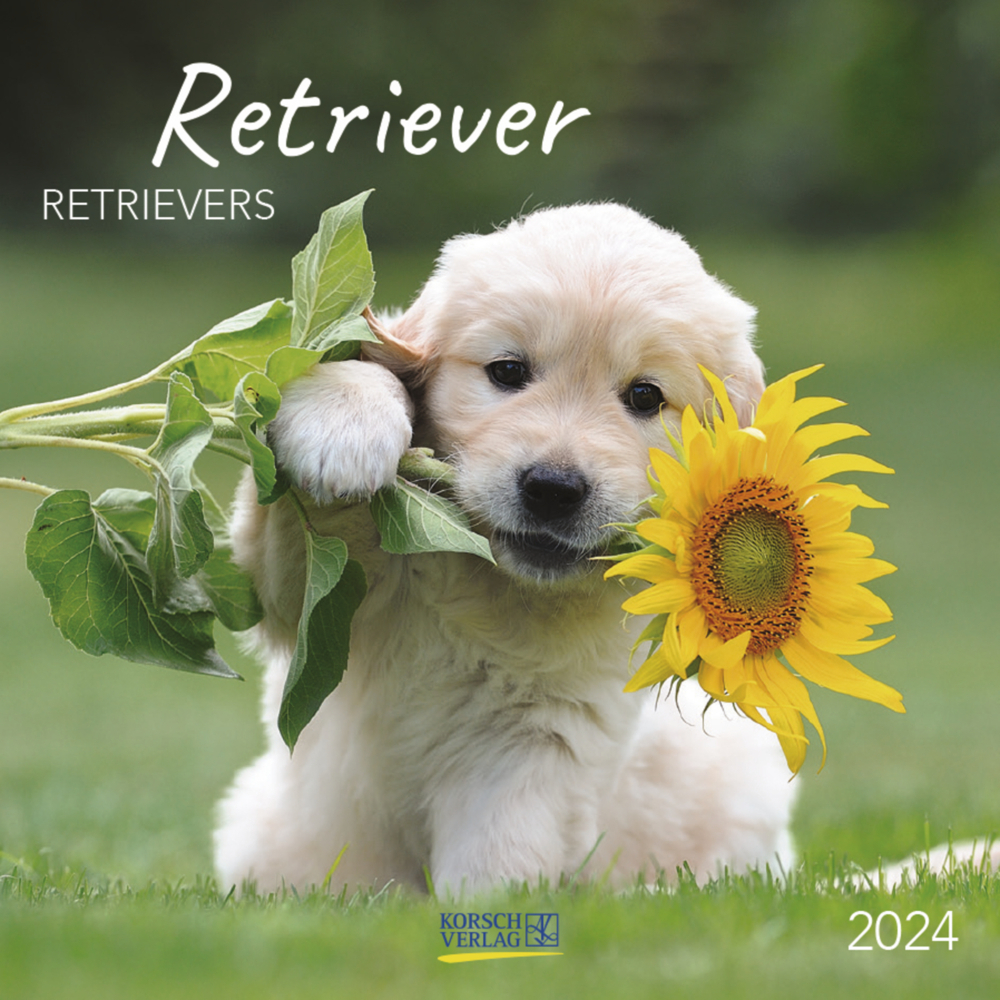 Cover: 9783731873181 | Retriever 2024 | Korsch Verlag | Kalender | Englisch Broschur | 13 S.