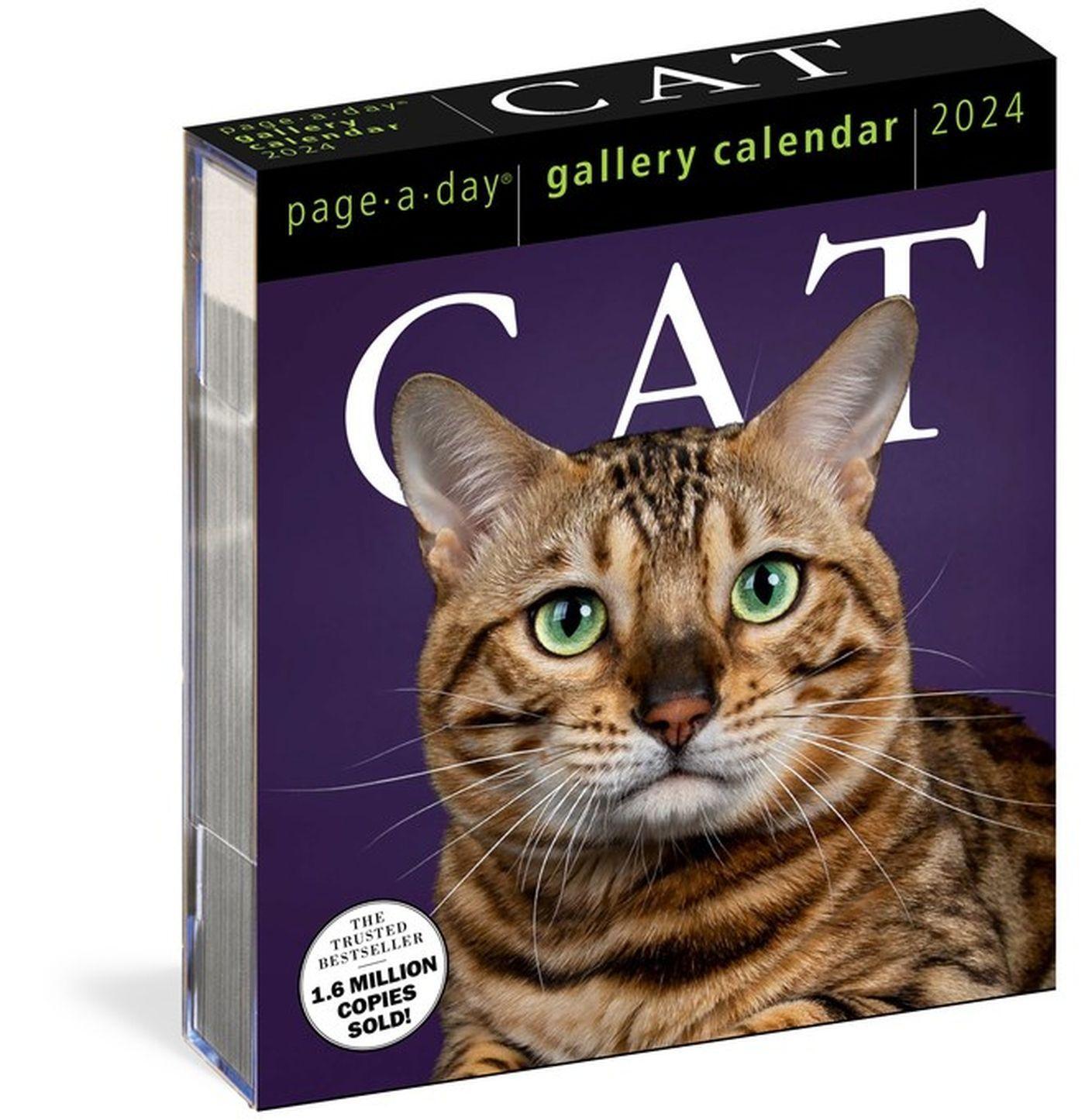 Cover: 9781523519064 | Cat Page-A-Day Gallery Calendar 2024 | Workman Calendars | Kalender