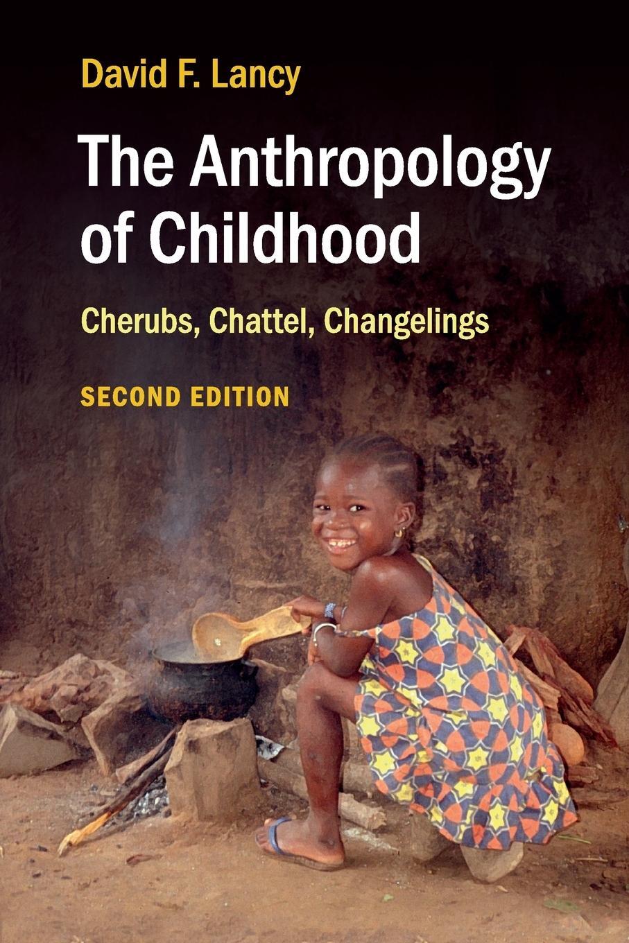 Cover: 9781107420984 | The Anthropology of Childhood | Cherubs, Chattel, Changelings | Lancy