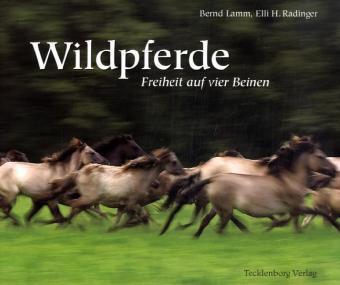Cover: 9783934427846 | Wildpferde | Freiheit auf vier Beinen | Bernd Lamm (u. a.) | Buch | C