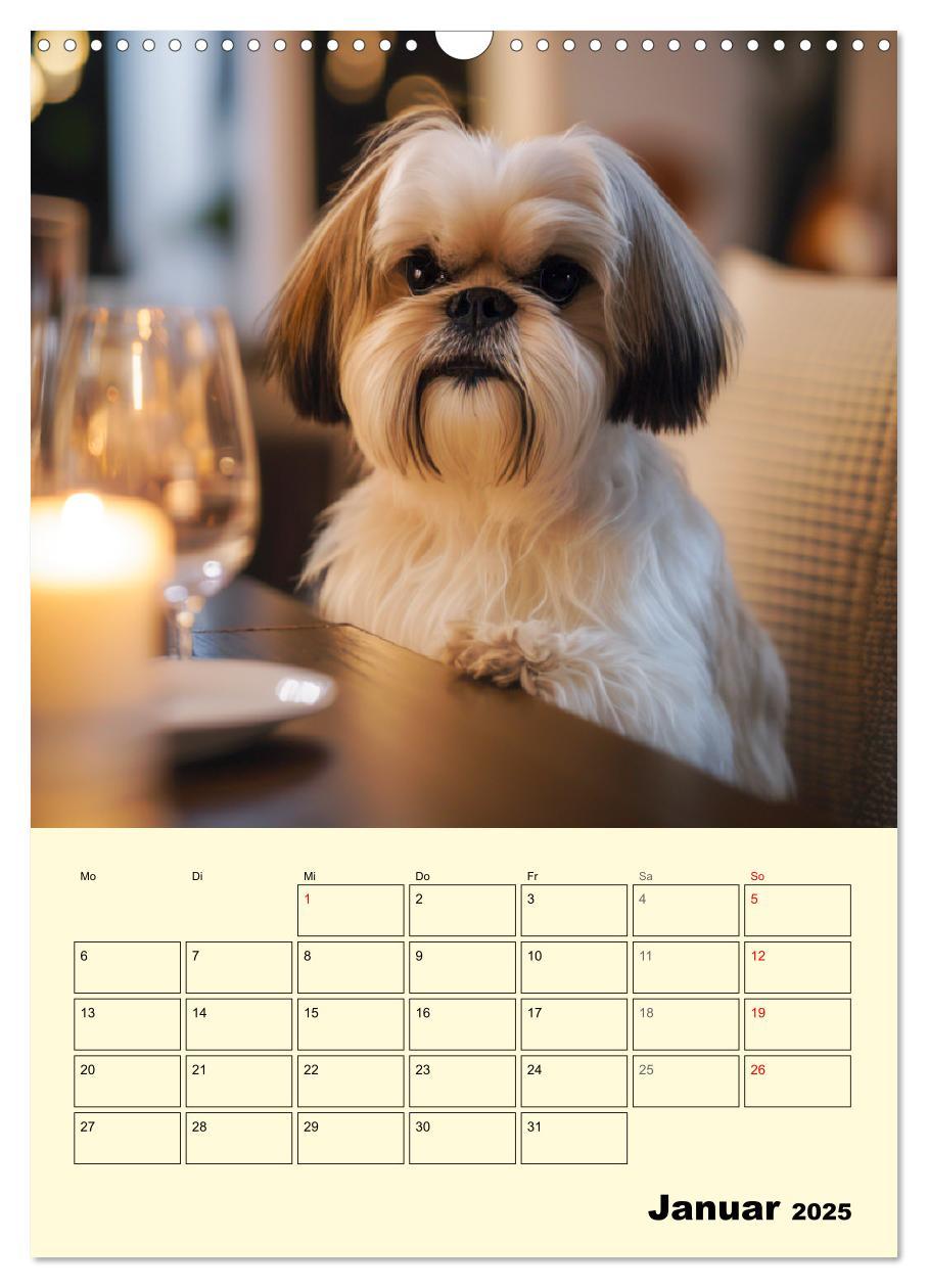 Bild: 9783435873623 | Shih Tzu Alarm. Glückliche Wuschelköpfe (Wandkalender 2025 DIN A3...