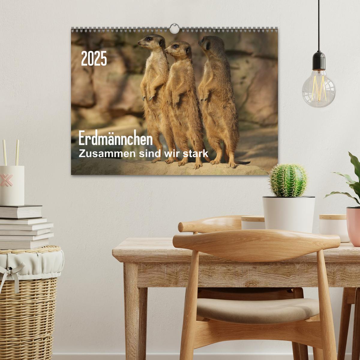 Bild: 9783435841042 | Erdmännchen ¿ Zusammen sind wir stark (Wandkalender 2025 DIN A3...