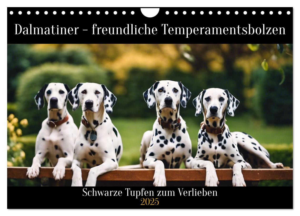 Cover: 9783383829437 | Dalmatiner - freundliche Temperamentsbolzen (Wandkalender 2025 DIN...