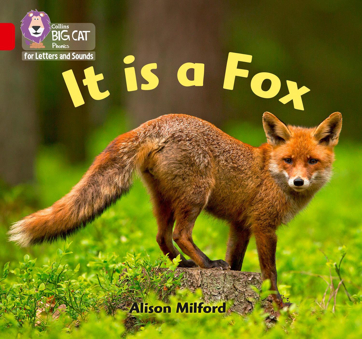 Cover: 9780008352004 | It is a Fox | Band 02b/Red B | Alison Milford | Taschenbuch | Englisch