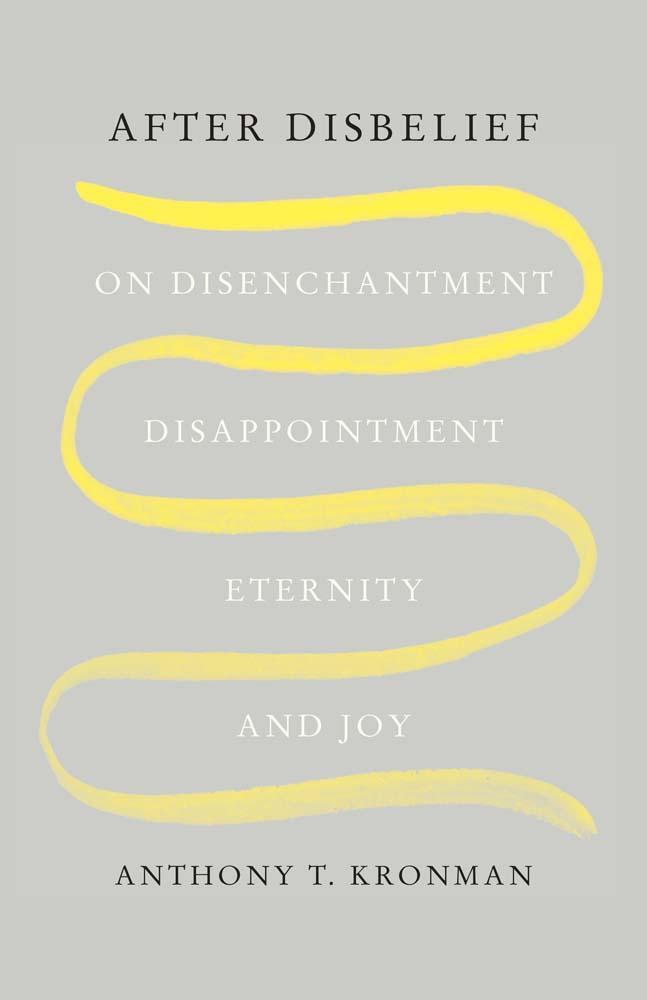 Cover: 9780300271065 | After Disbelief | On Disenchantment, Disappointment, Eternity, and Joy