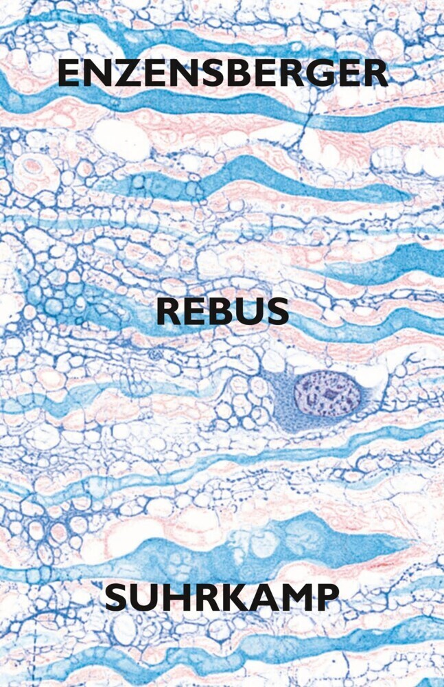 Cover: 9783518420522 | Rebus | Gedichte | Hans Magnus Enzensberger | Buch | 2009 | Suhrkamp