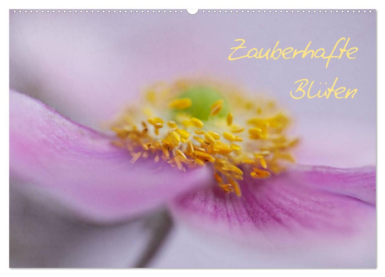 Cover: 9783383614583 | Zauberhafte Blüten (Wandkalender 2024 DIN A2 quer), CALVENDO...