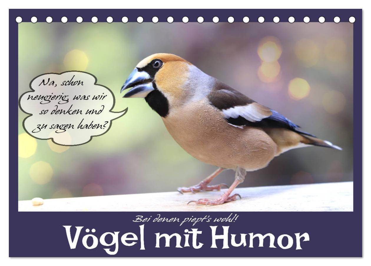 Cover: 9783435113446 | Vögel mit Humor (Tischkalender 2025 DIN A5 quer), CALVENDO...