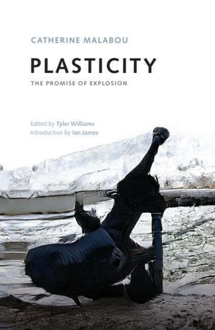 Cover: 9781474462129 | Plasticity | The Promise of Explosion | Catherine Malabou | Buch