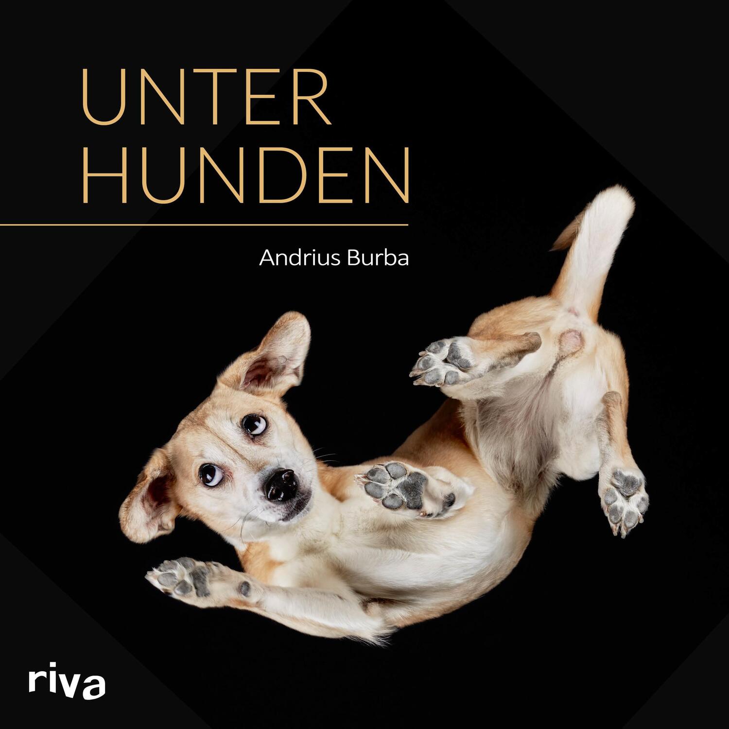 Cover: 9783742300720 | Unter Hunden | Andrius Burba | Buch | 96 S. | Deutsch | 2017 | riva