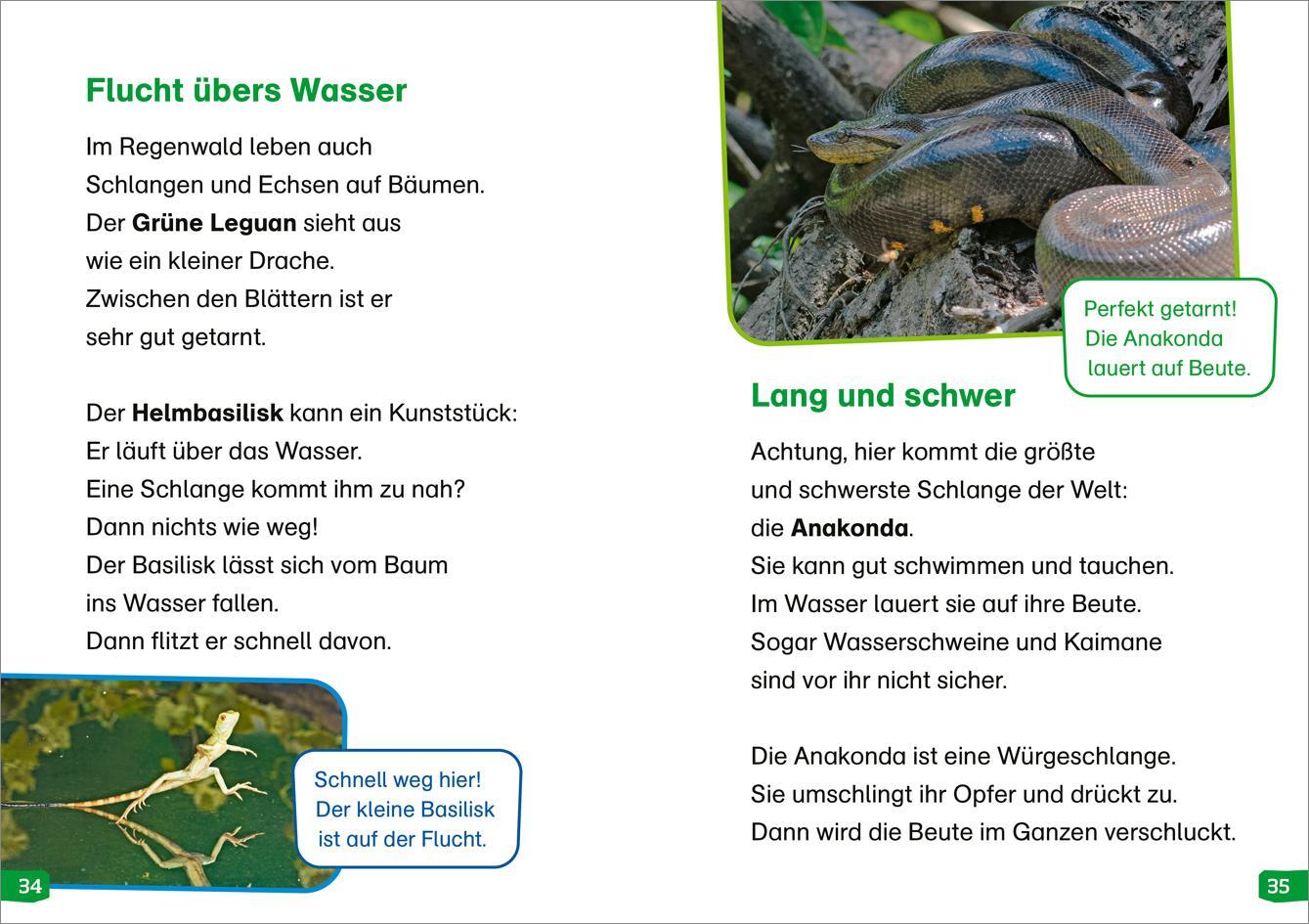 Bild: 9783788677367 | WAS IST WAS Erstes Lesen easy! Band 18. Tiere im Regenwald | Buch