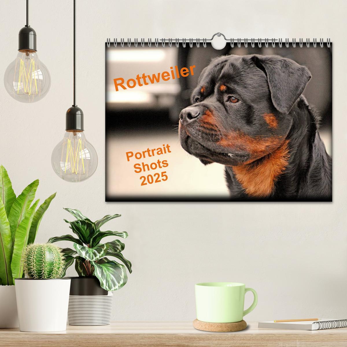 Bild: 9781325956425 | Rottweiler Portait Shots 2025 (Wall Calendar 2025 DIN A4...