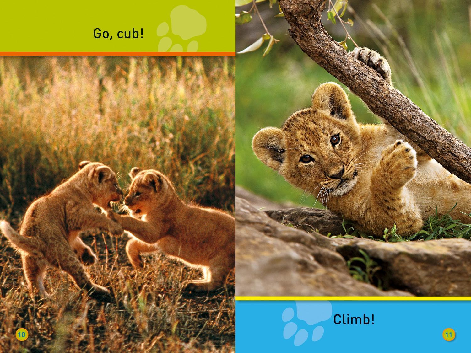 Bild: 9780008266554 | Go, Cub! | Level 1 | Susan B. Neuman (u. a.) | Taschenbuch | Englisch