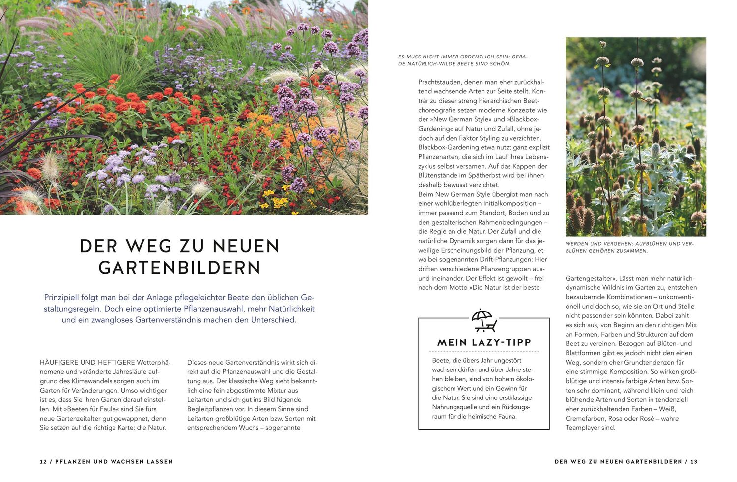 Bild: 9783833867538 | Schöne Beete für Faule | Lars Weigelt | Taschenbuch | GU Garten extra