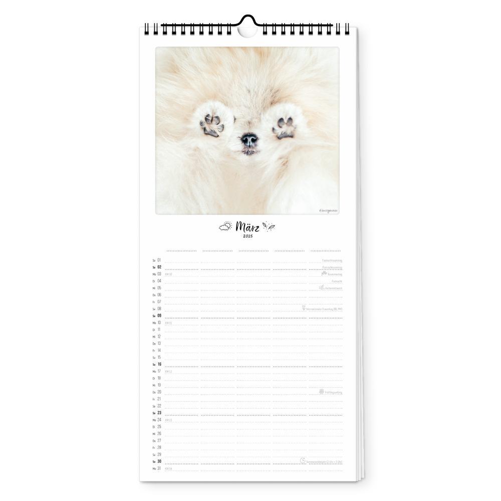 Bild: 4251781179461 | Familienplaner 2025 - Bunter Hund | Pickmotion | Kalender | Deutsch