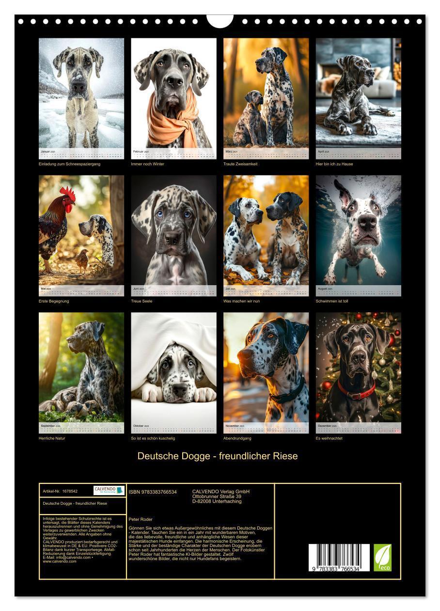 Bild: 9783383766534 | Deutsche Dogge - freundlicher Riese (Wandkalender 2025 DIN A3...