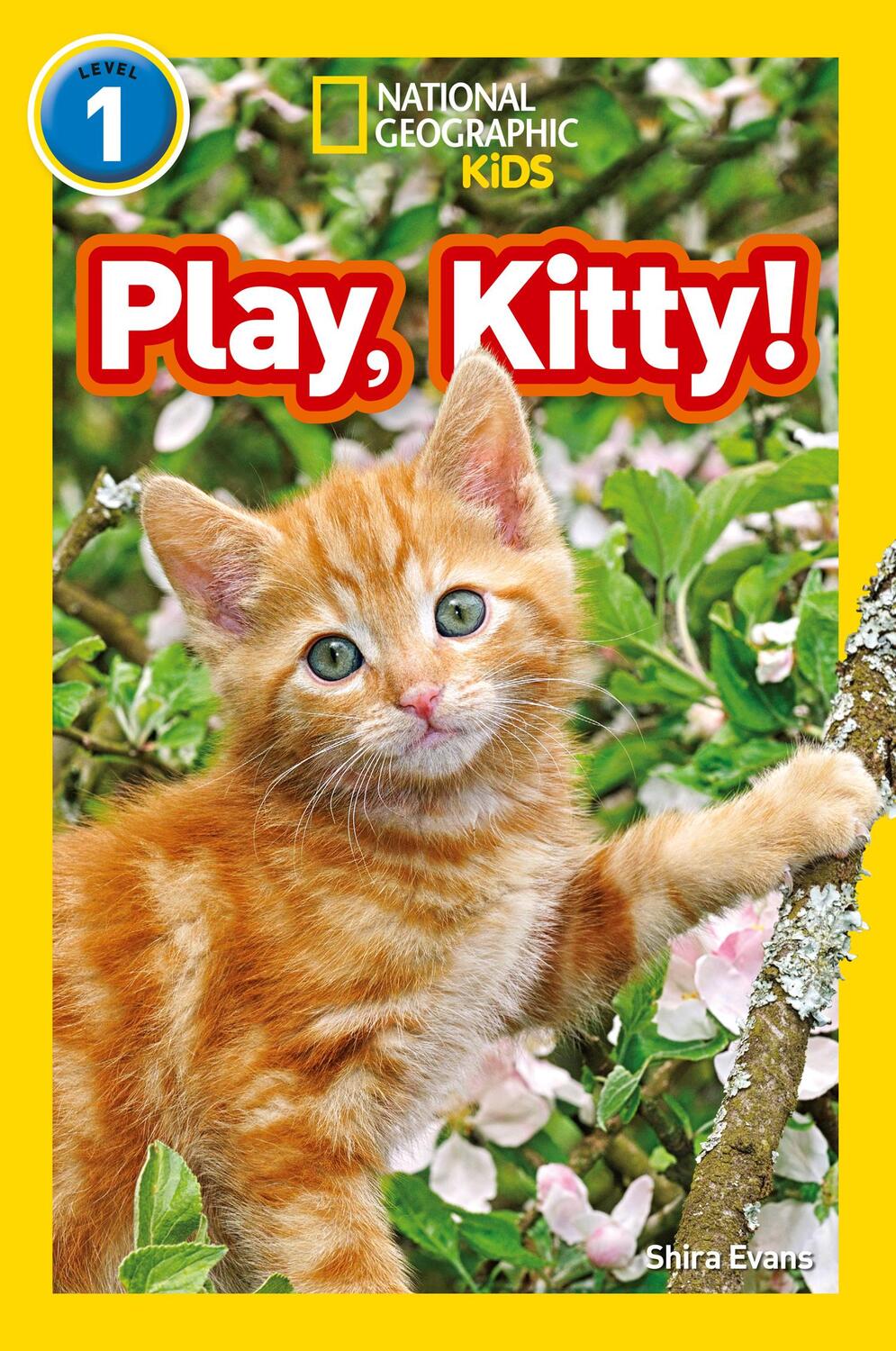 Cover: 9780008266516 | Play, Kitty! | Level 1 | Shira Evans (u. a.) | Taschenbuch | Englisch
