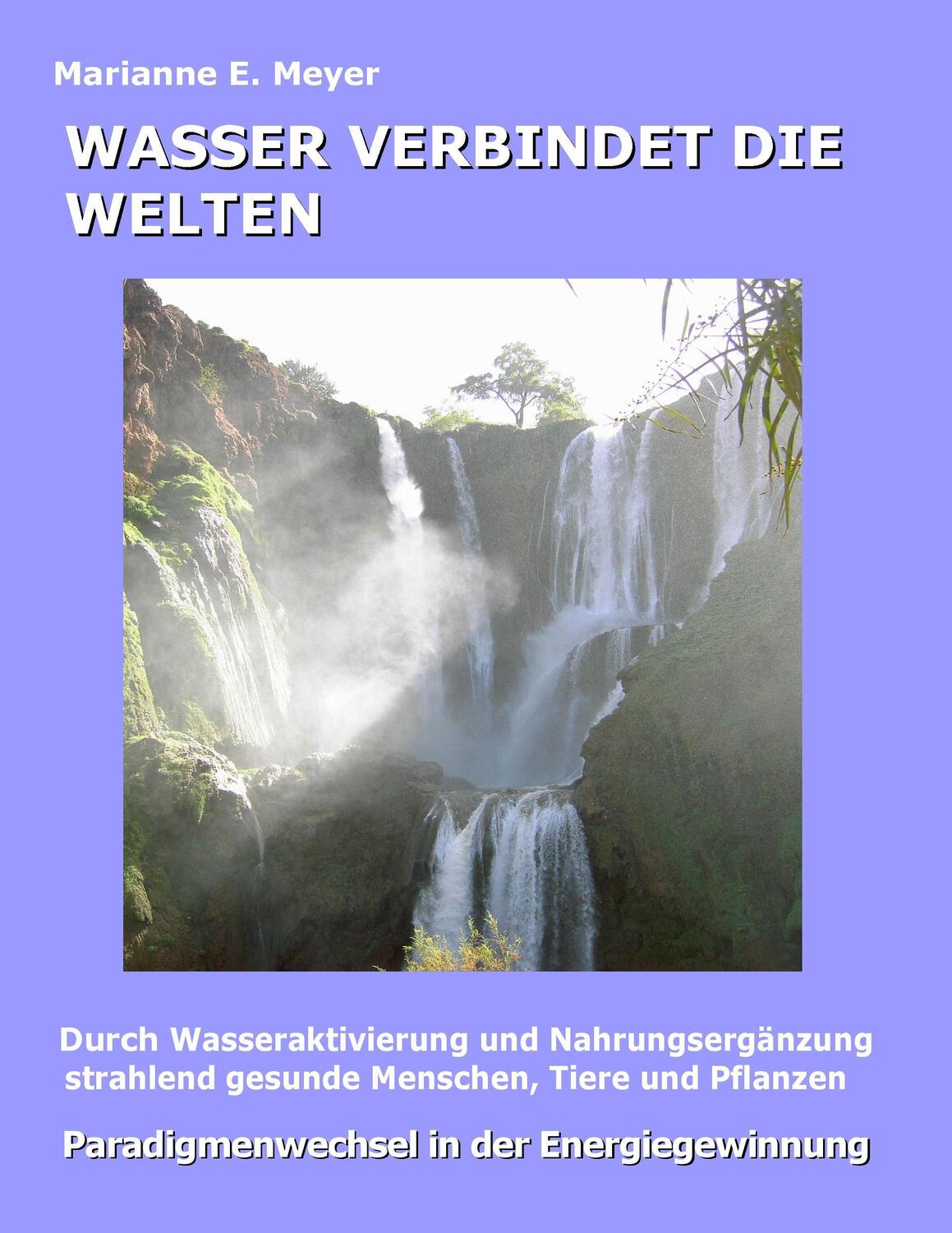 Cover: 9783837099898 | Wasser verbindet die Welten | Marianne E Meyer | Taschenbuch | 124 S.