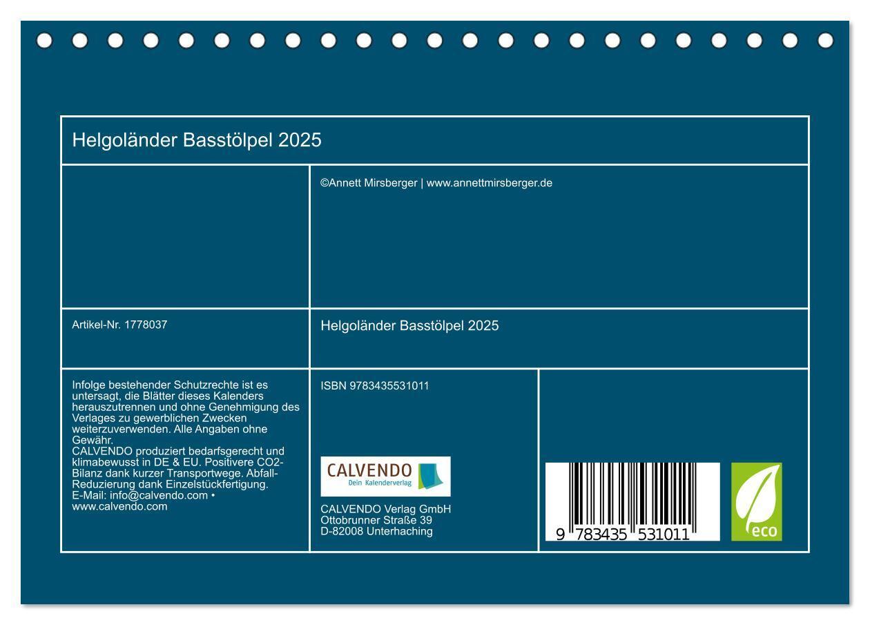 Bild: 9783435531011 | Helgoländer Basstölpel 2025 (Tischkalender 2025 DIN A5 quer),...