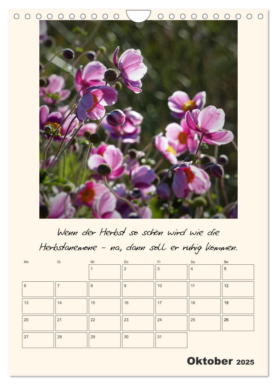 Bild: 9783435999583 | Gartengeschichten (Wandkalender 2025 DIN A4 hoch), CALVENDO...