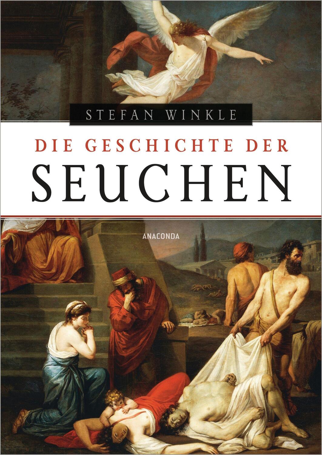 Cover: 9783730609637 | Die Geschichte der Seuchen | Stefan Winkle | Buch | Deutsch | 2021