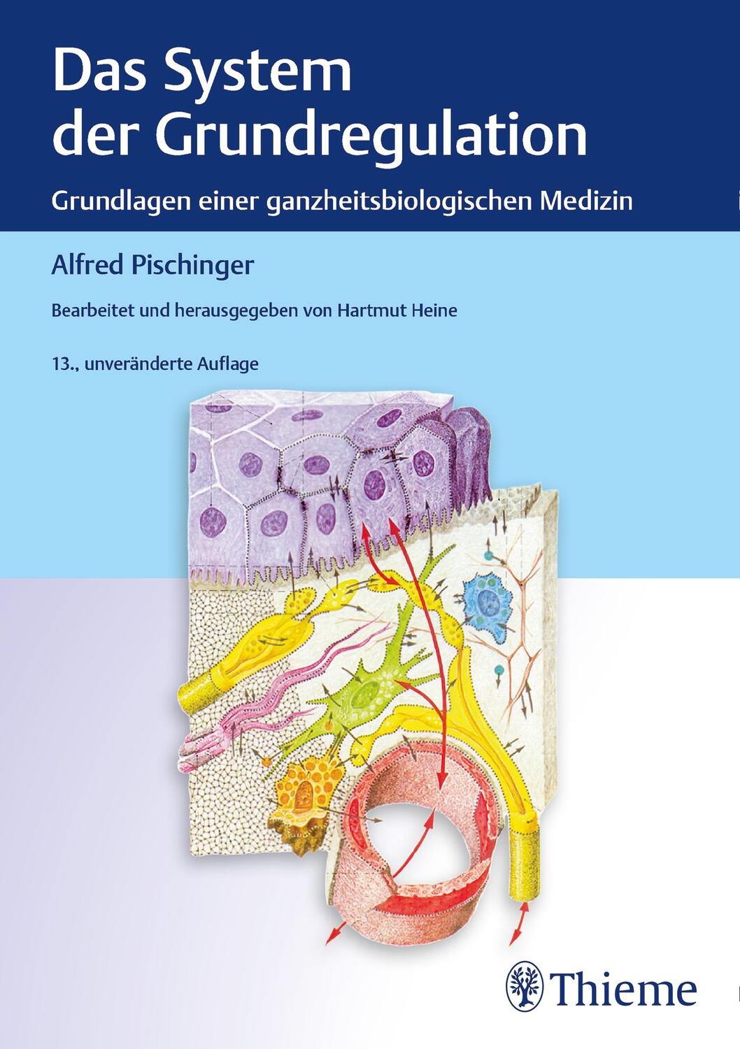 Cover: 9783132443389 | Das System der Grundregulation | Alfred Pischinger (u. a.) | Buch