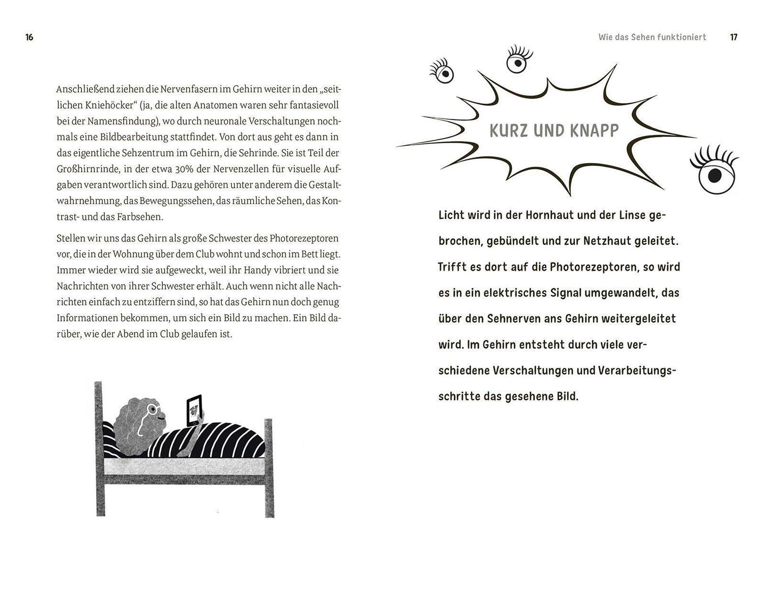 Bild: 9788868395469 | Faszination Auge | Barbara Fischer (u. a.) | Taschenbuch | Deutsch